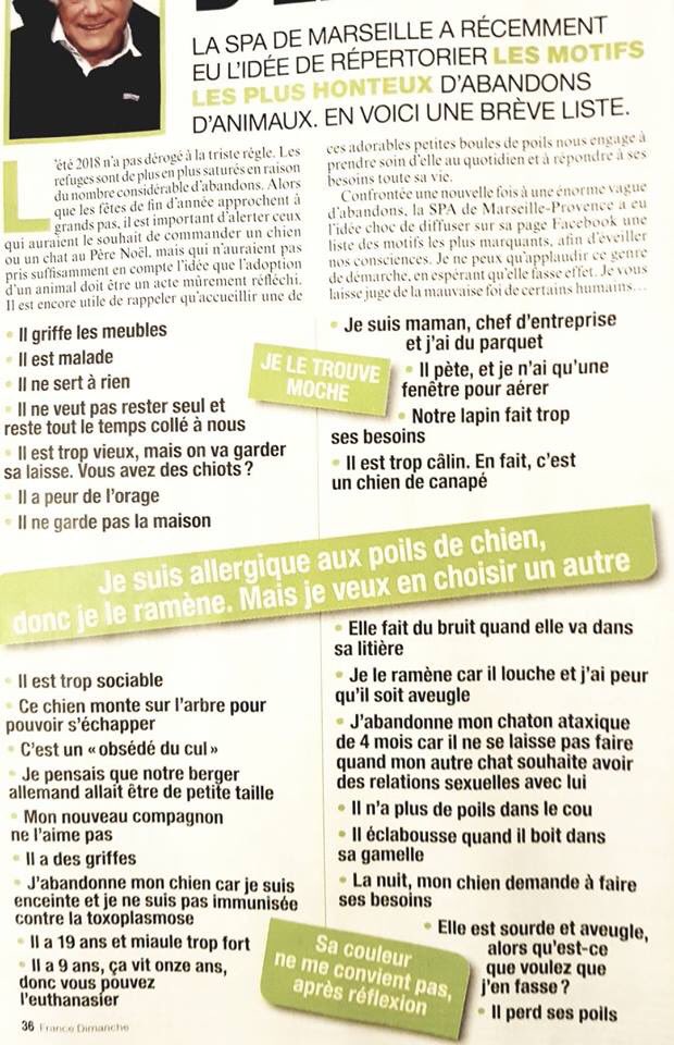 Motifs d'abandon d'animaux