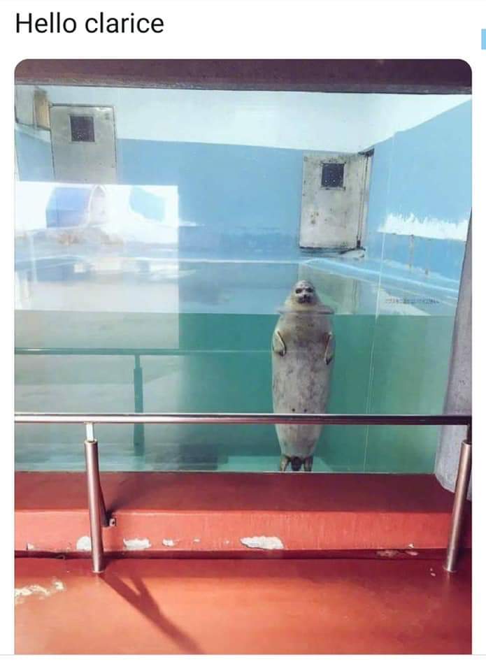 &quot;Cela faisait un moment que vous n'étiez pas venue me voir&quot; 