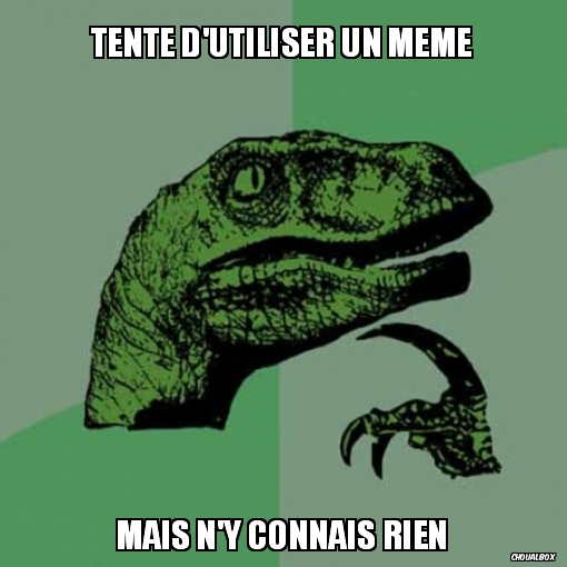 Tente d'utiliser un meme