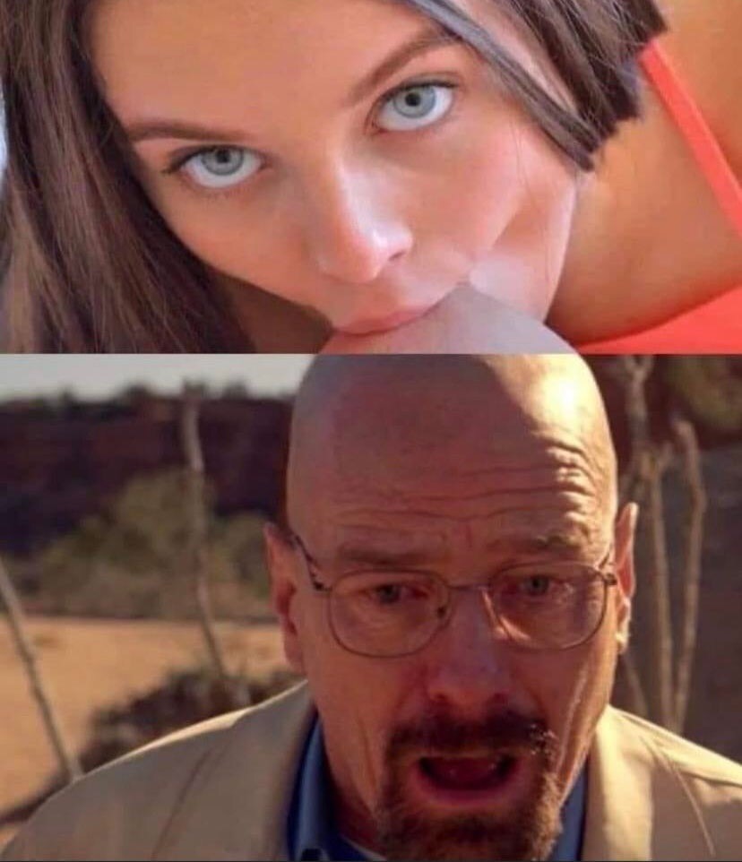 Le grand chauve à col roulé 