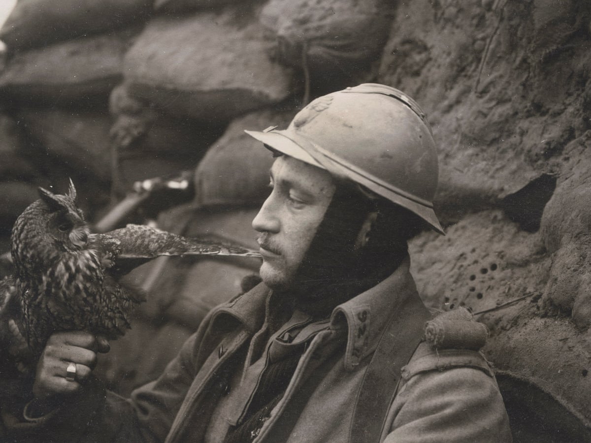 Soldat français du 86ème régiment d'infanterie photographié avec son hiboux en 1916