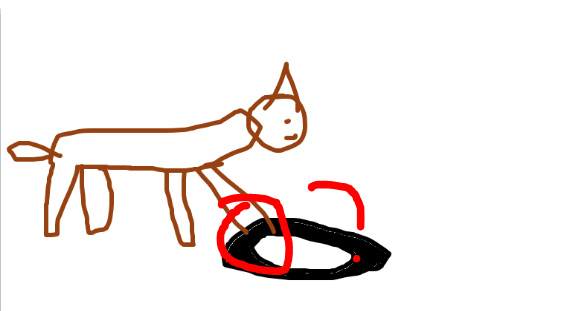 Les rhinocéros font localement l'objet d'une protection et de projets de réintroduction. Ils sont très utiles pour fertiliser le sol. Ils peuvent mesurer 4 m de longueur pour 1,50 à 2 m de hauteur au garrot, et une masse pouvant avoisiner les 3 tonnes. Ce sont les plus gros mammifères terrestre