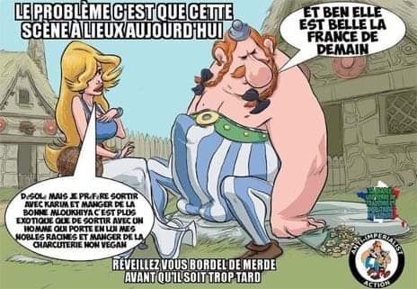 Astérix et obelix nationaliste une valeur sûre de natiobeauf