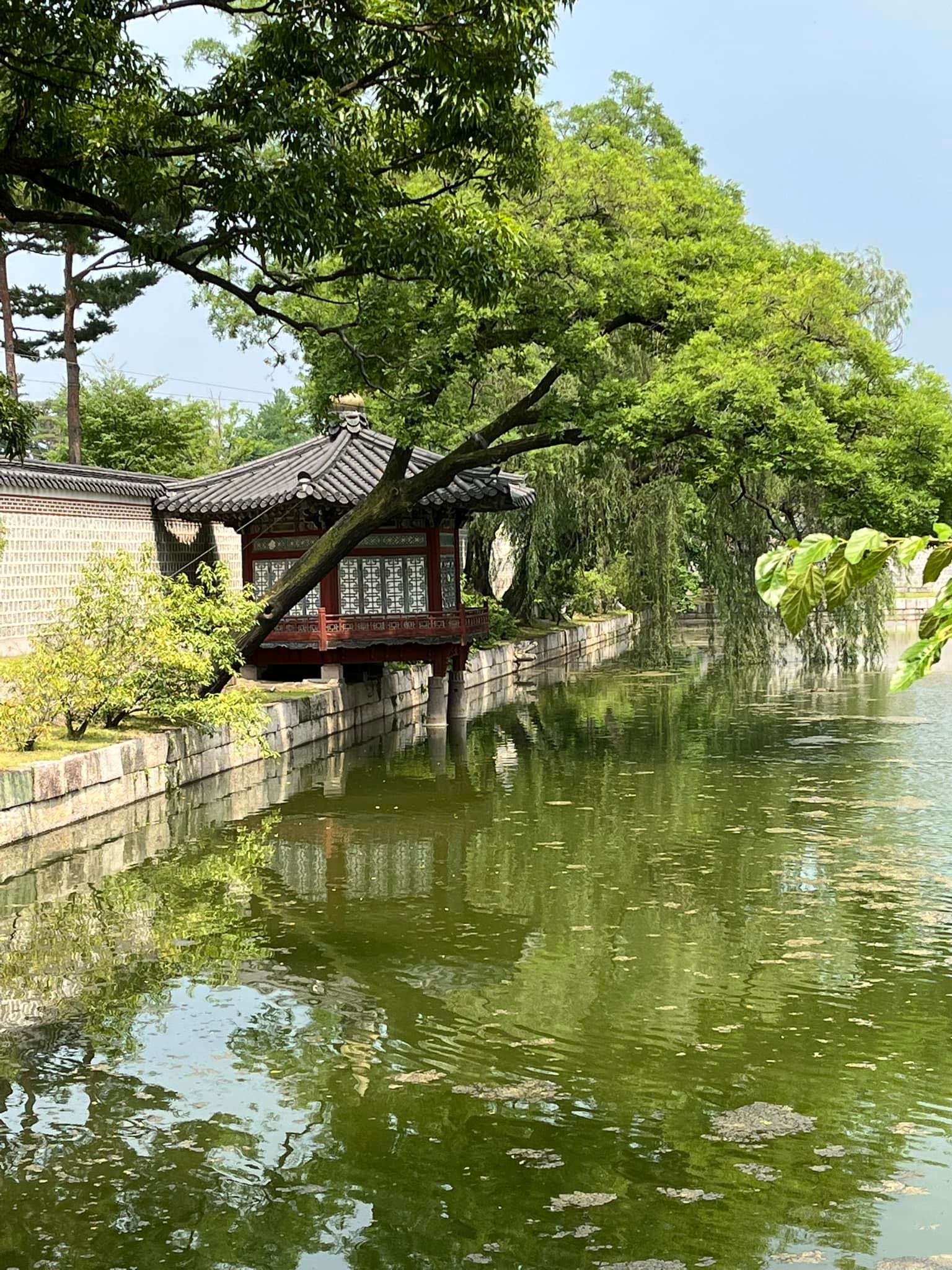 Je reviens de Corée du Sud - AMA