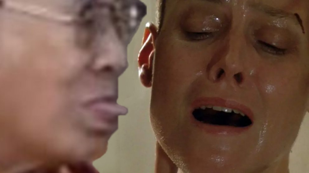 Viens ici ma minette !