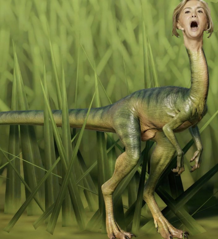 L'appelaudon débloque 500.000€  pour aider le Maroc