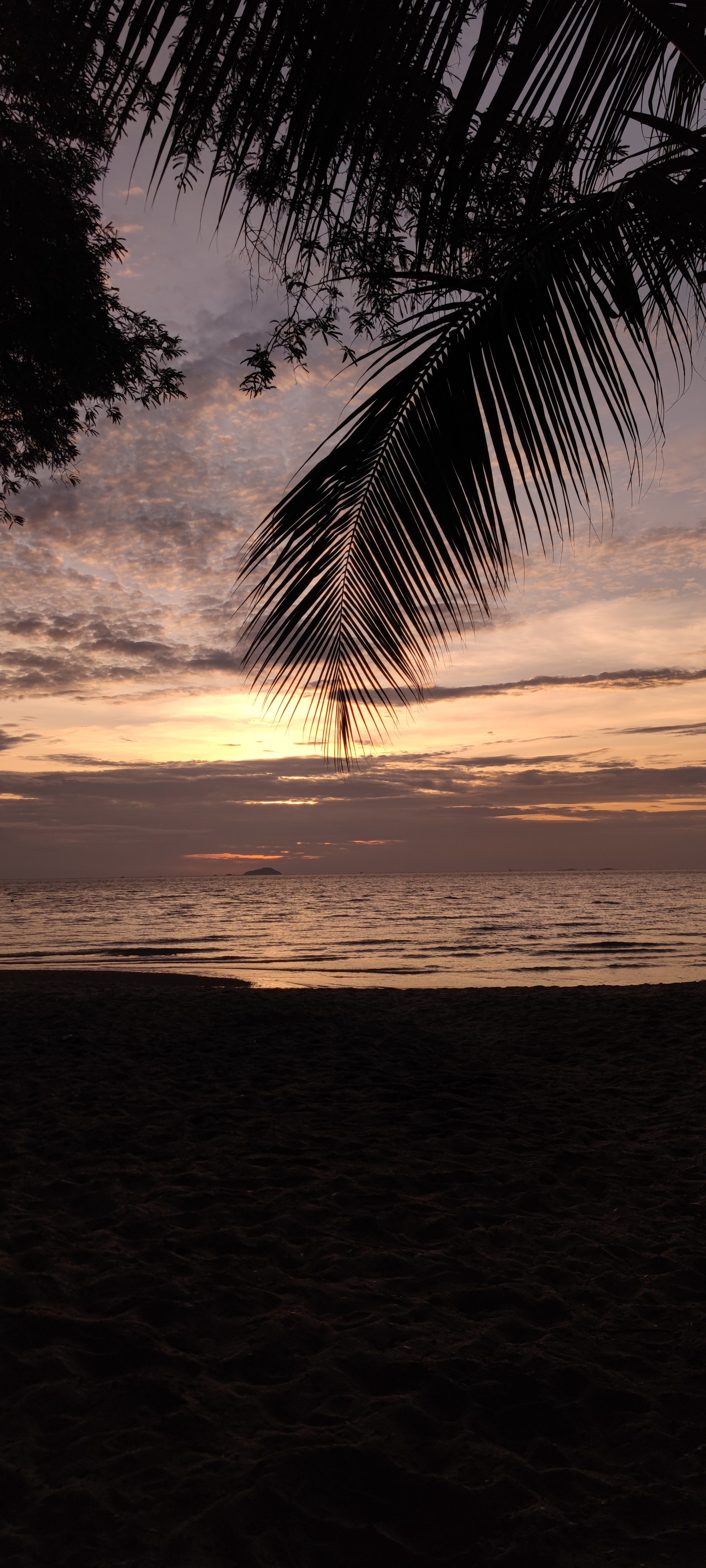 Pendant ce temps, à Veracruz... Enfin à Pattaya quoi