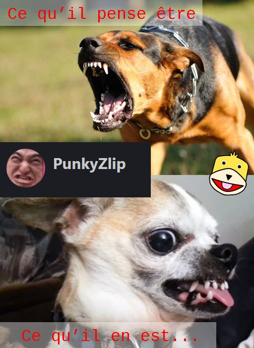 PunkyZlip sur choualbox