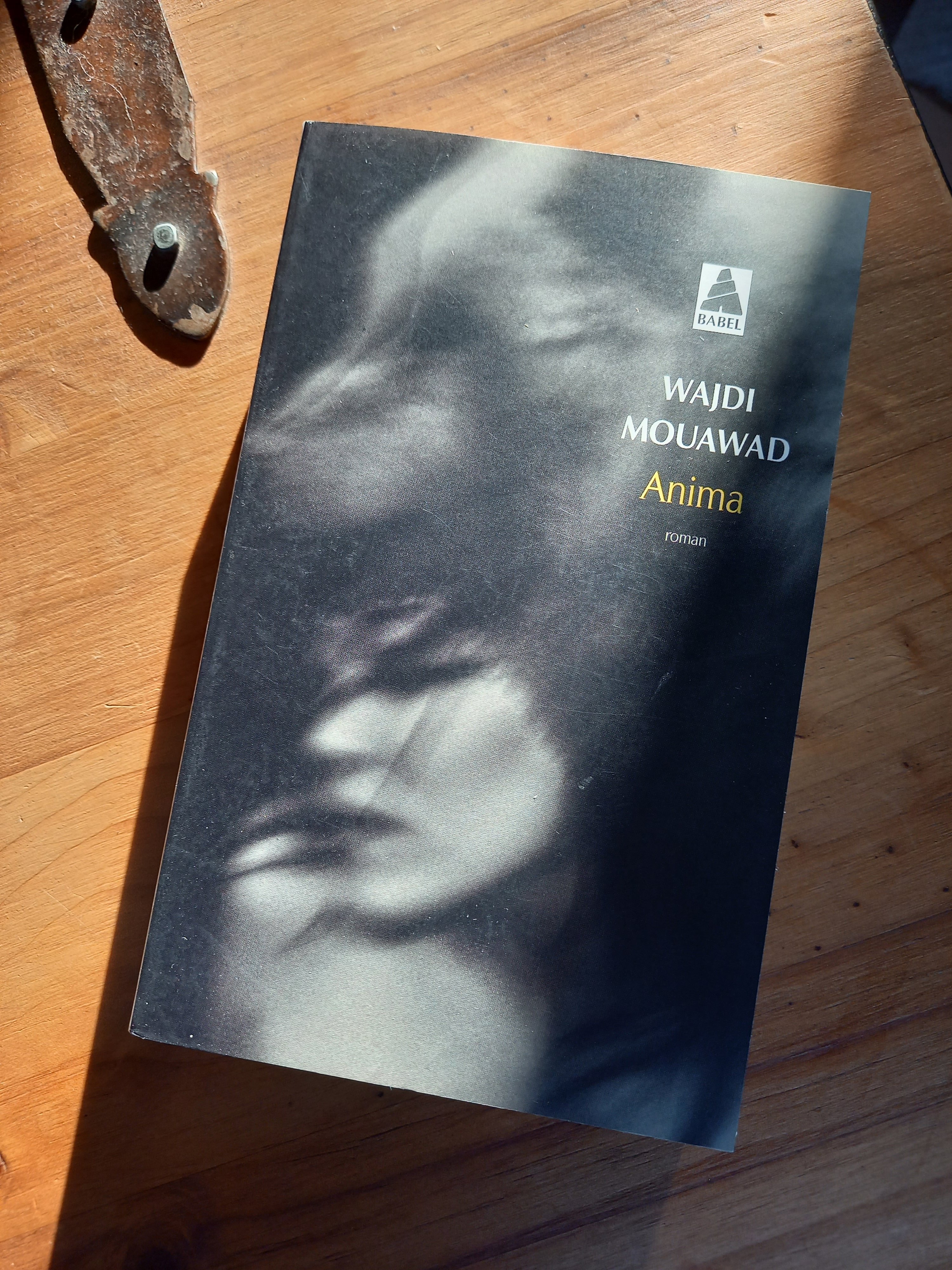 Suite aux conseils de JRFP, (lien en com) j'ai enfin reçu &quot;Anima&quot;...