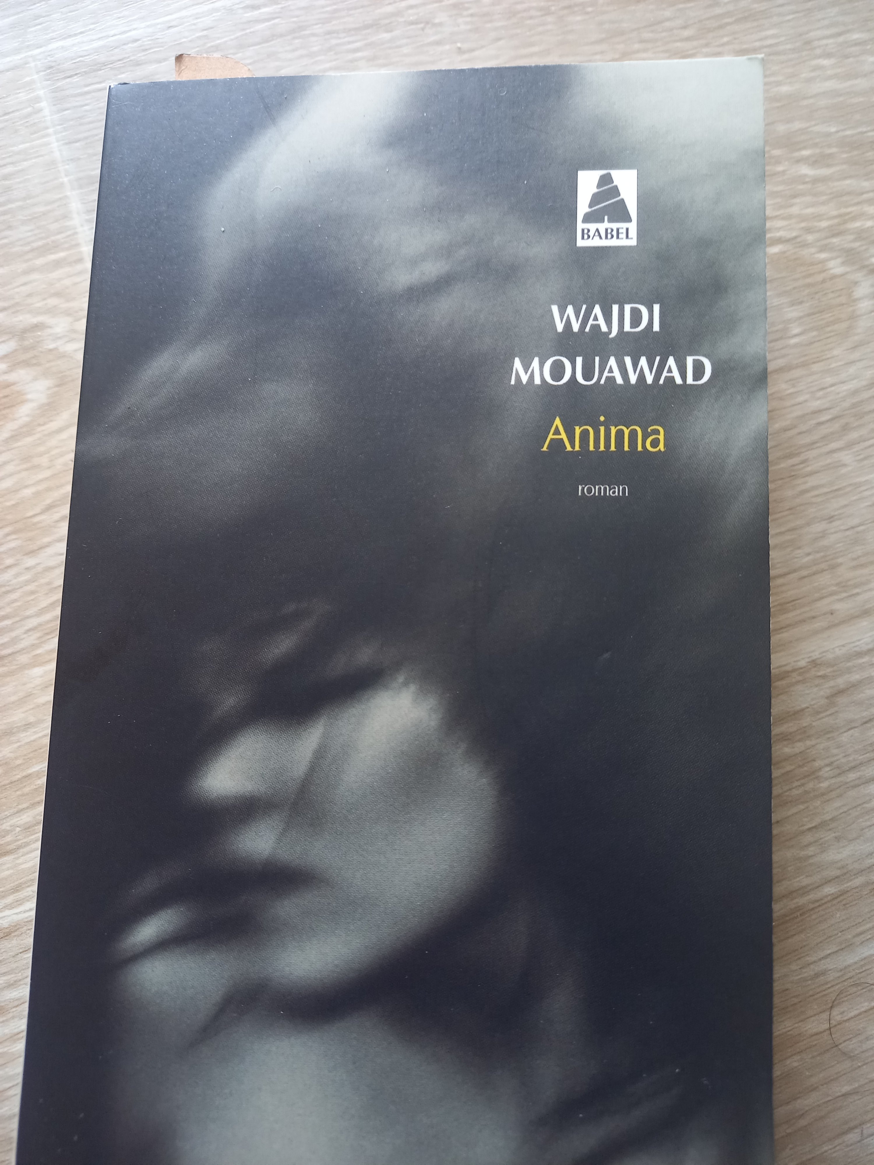 Anima Merveilleux bouquin conseillé par JRFP #2