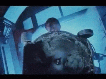 Dans quel film voit-on des personnes regarder Braindead de peter Jackson?