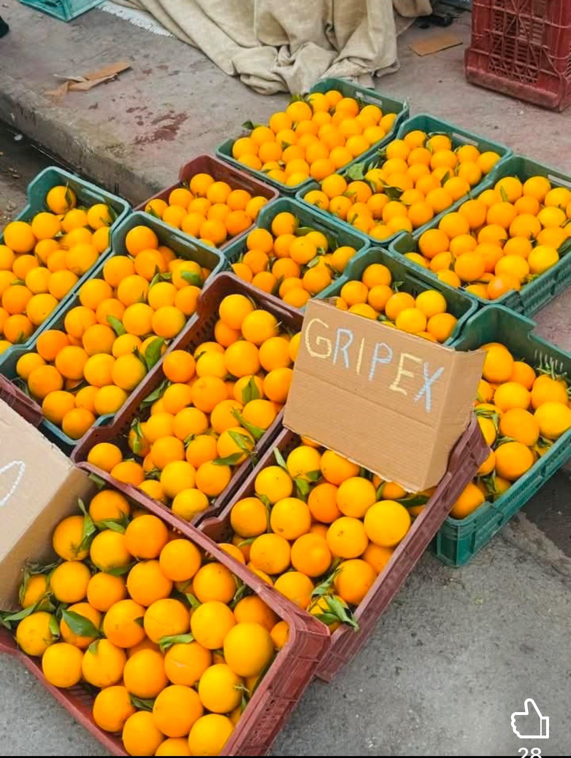 Pour ou contre l’homéopathie ?