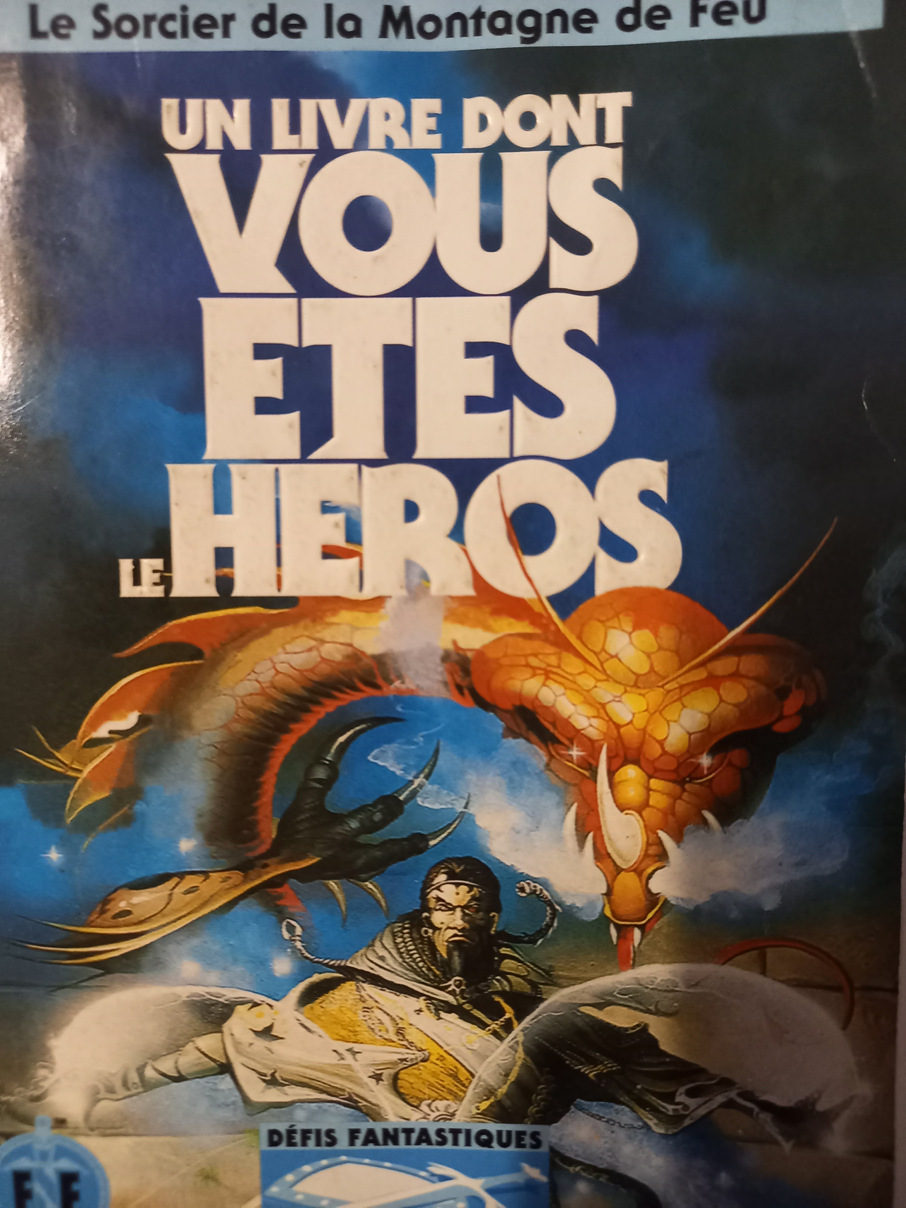 Un livre dont vous êtes le héros