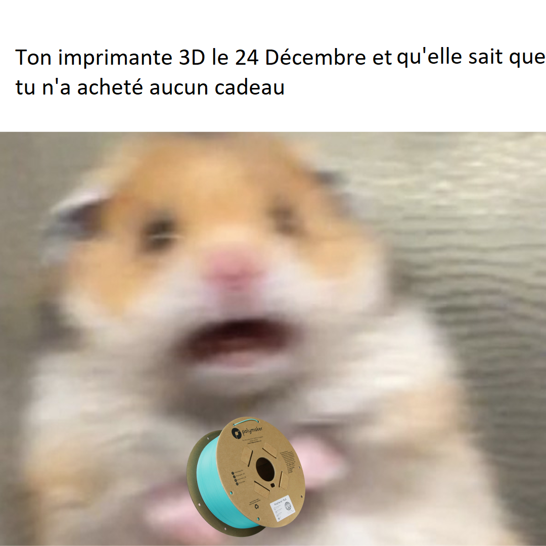 Imprimante 3D faire BRRRRRRR