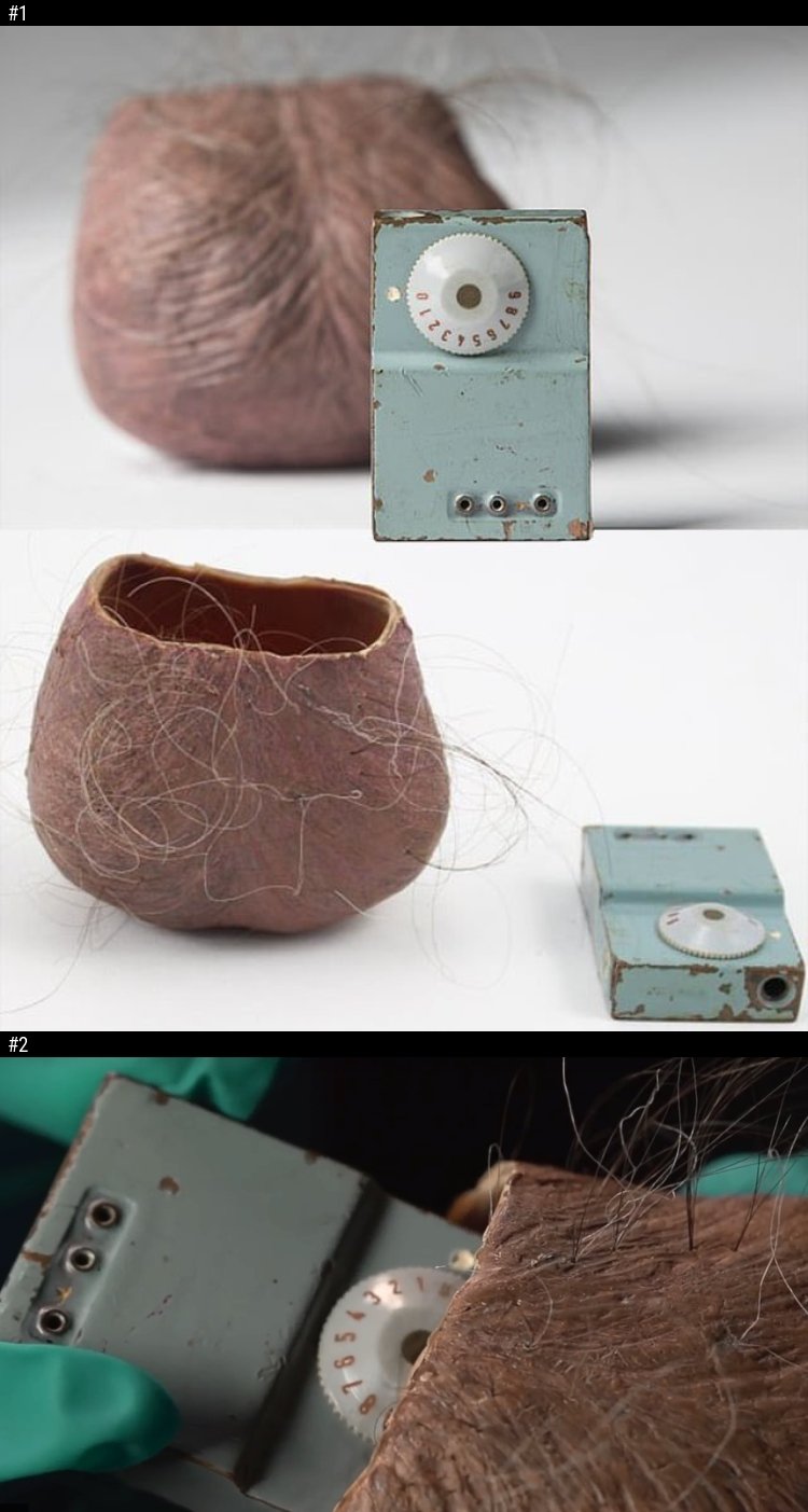 Faux scrotum conçu par la CIA était destiné à aider les agents masculins capturés à dissimuler une petite radio de secours, en supposant que les gardes de sécurité éviteraient les fouilles approfondies de la région génitale. Cependant, il n’a jamais été utilisé sur le terrain.