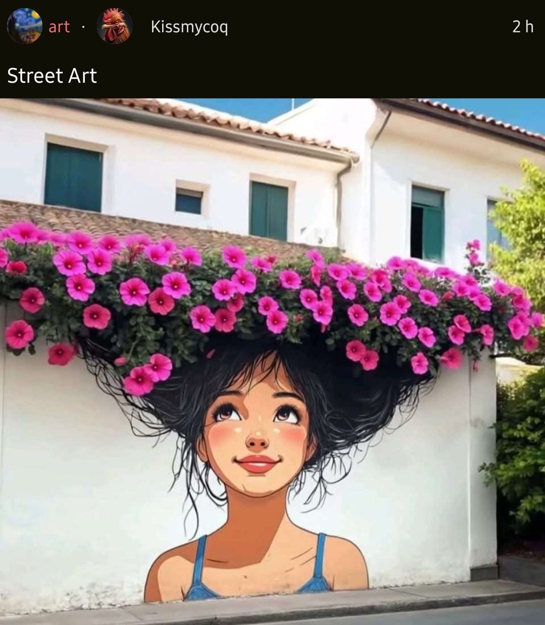 Piège à boomer n°1737485943