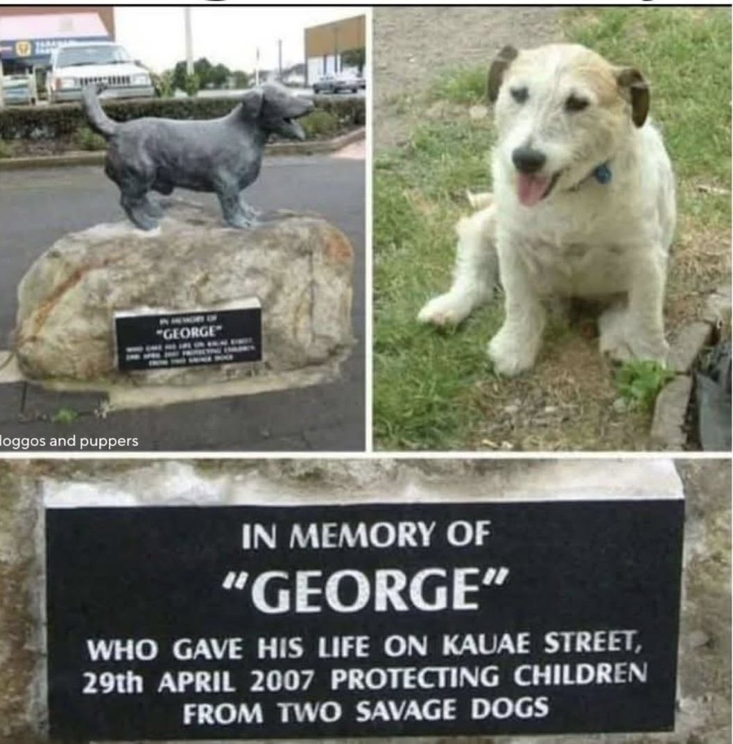 George(voir commentaire)