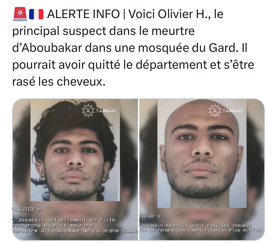 Assassin de Grande Combe