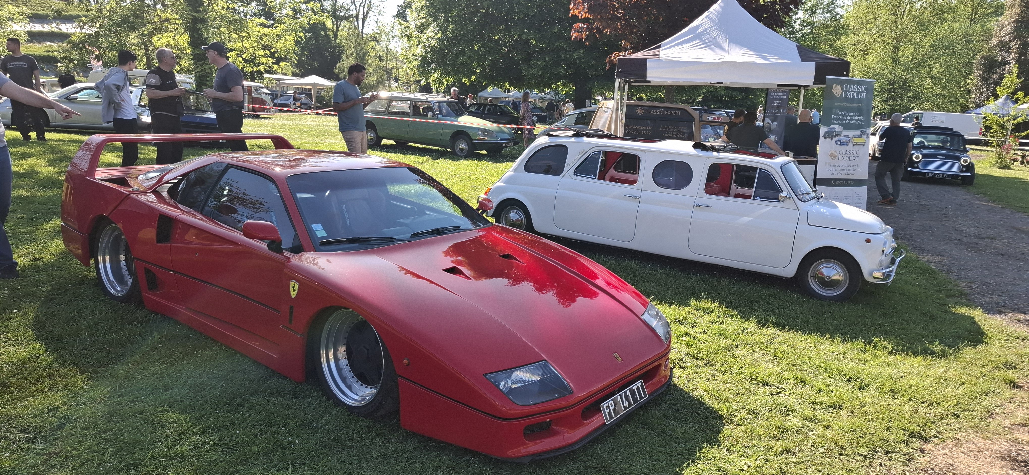 Ras les pâquerettes