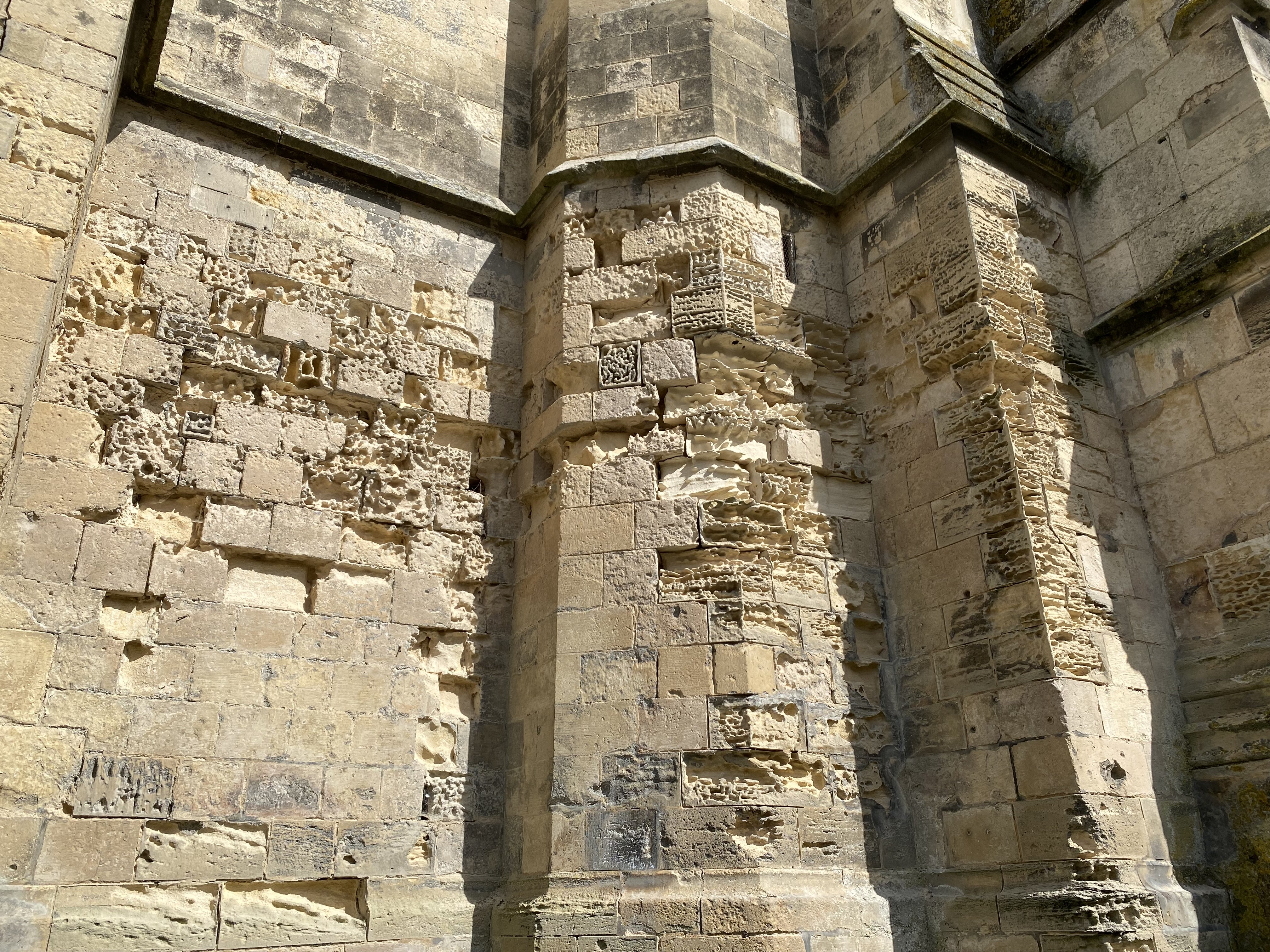 Forme labyrinthique sur pierre en érosion
