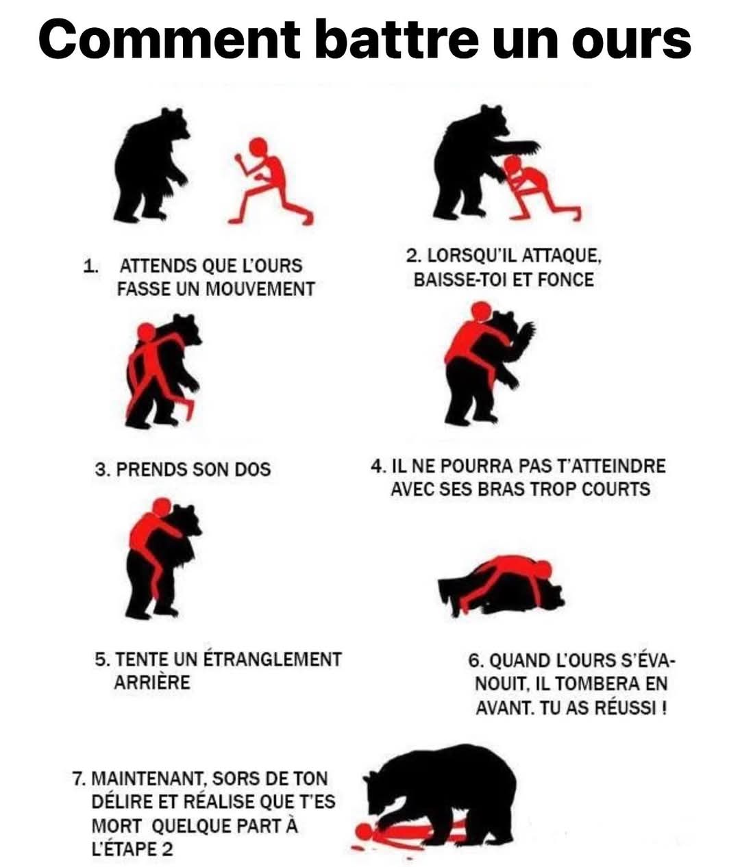 Apprendre à maitriser un ours .