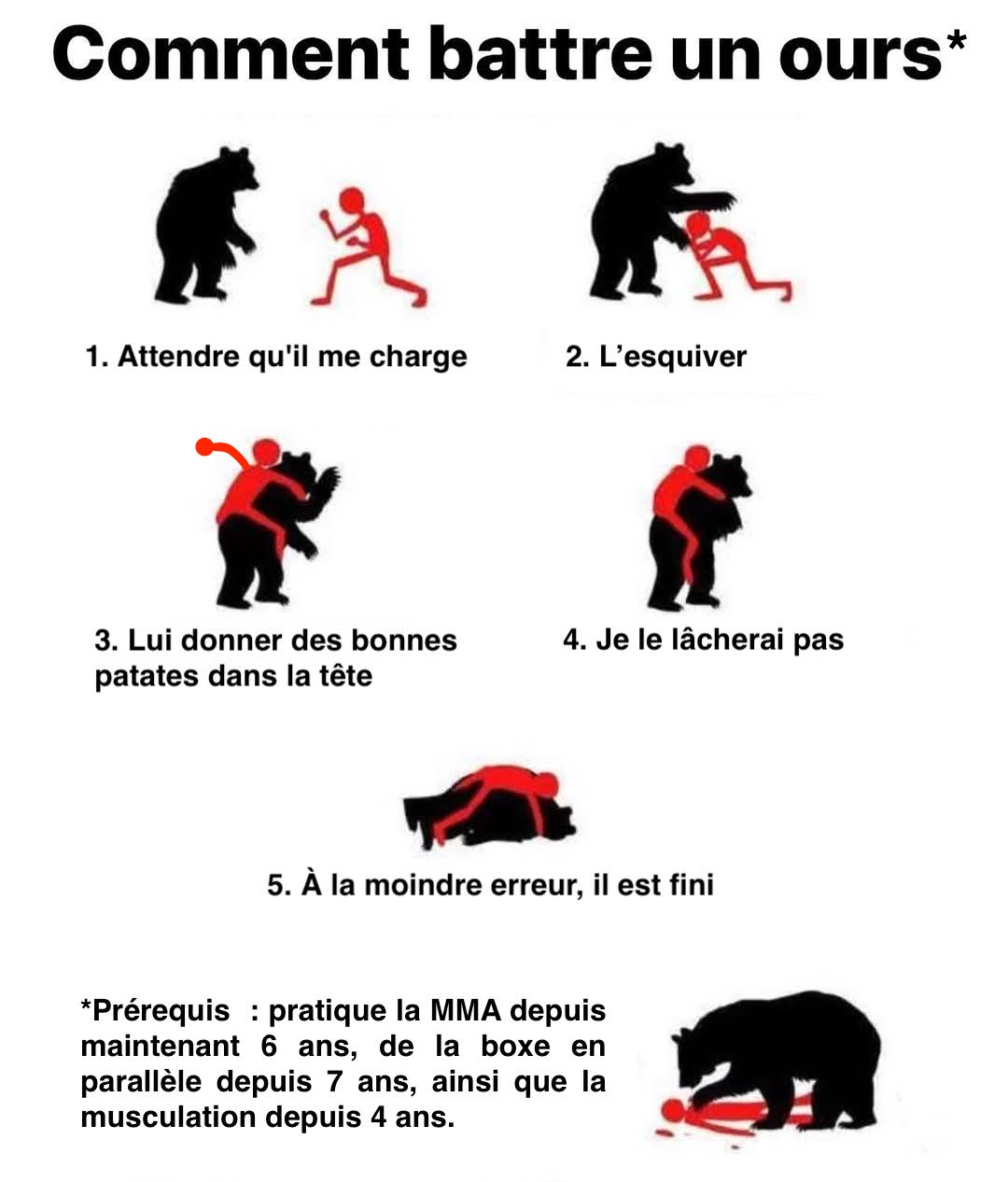 Comment battre un ours