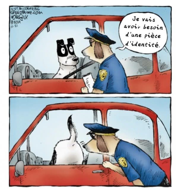 Identité numérique canine.