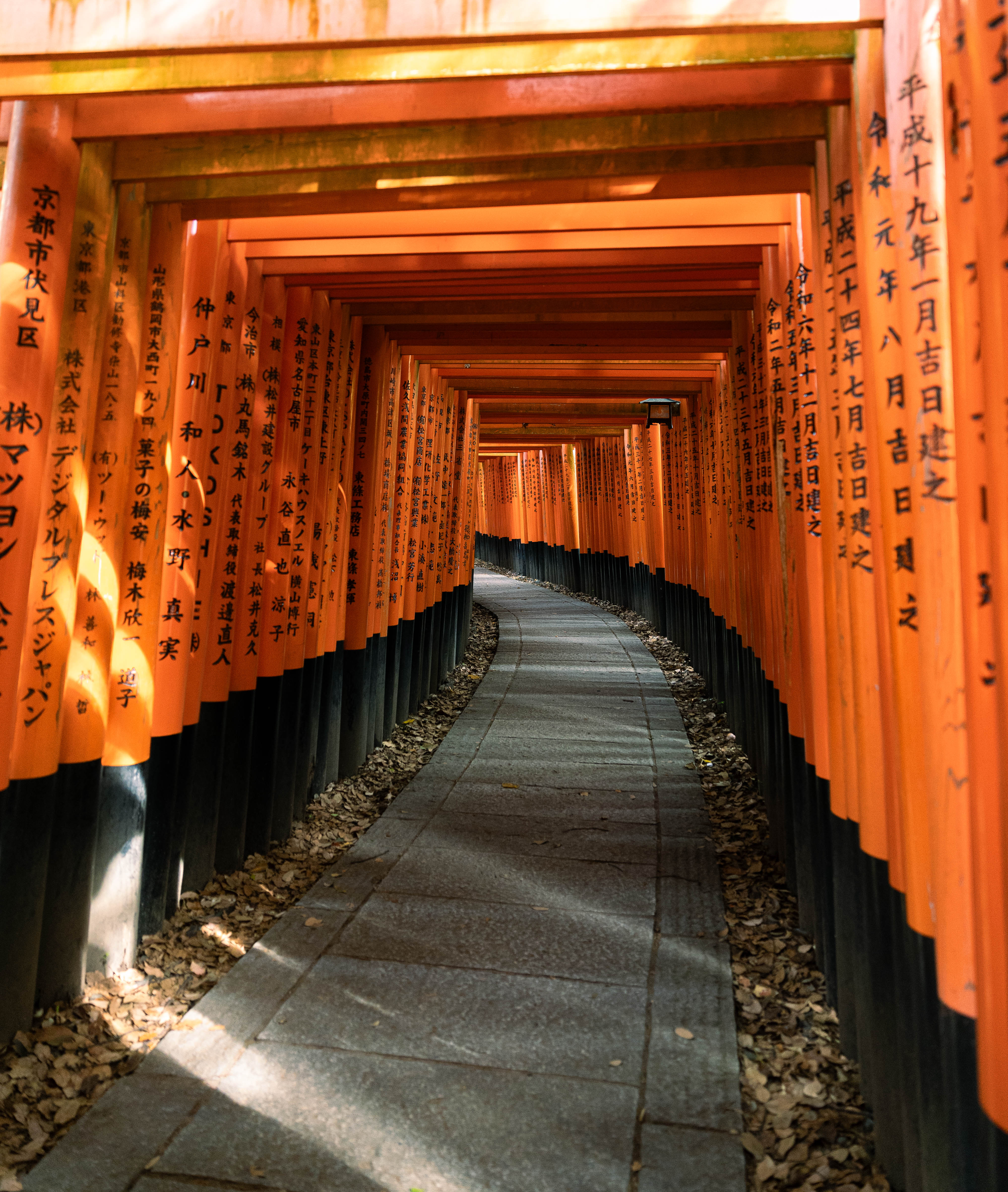 Balade matinale au Mont Inari, Kyoto