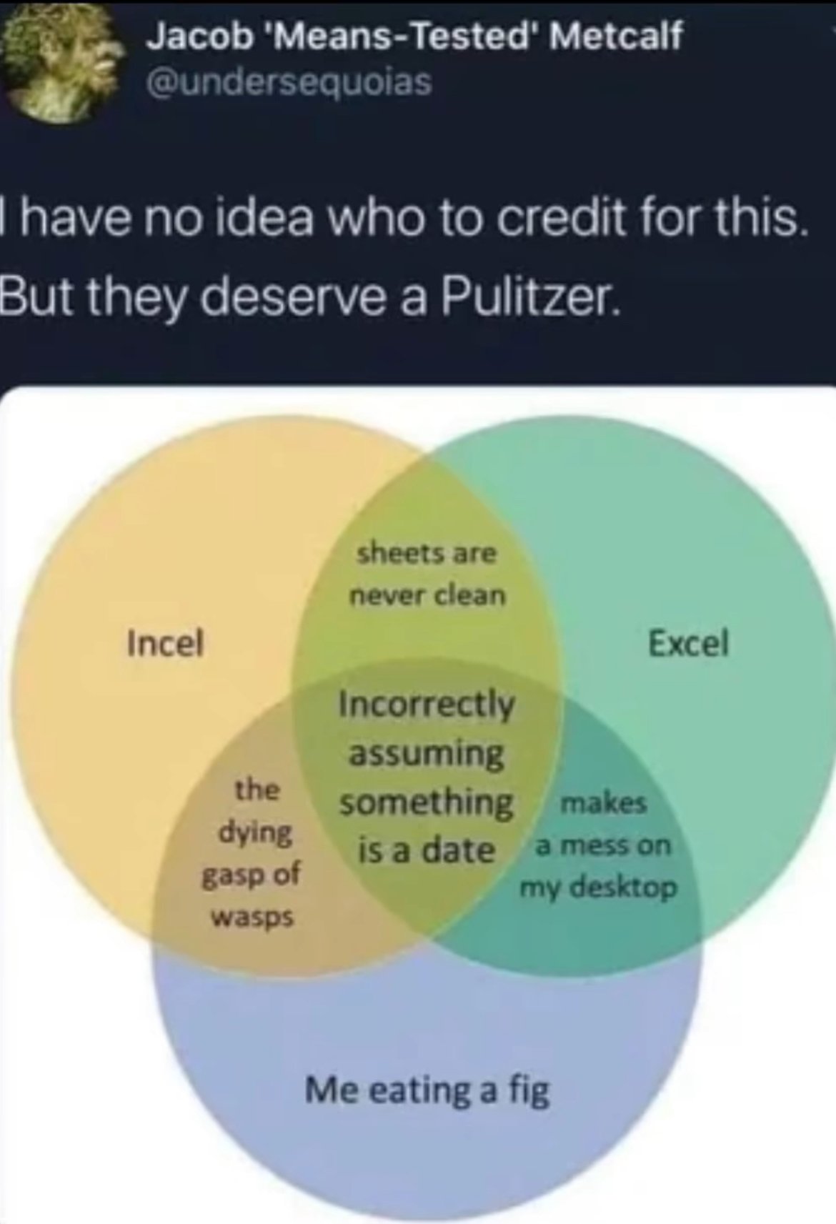 Quelqu’un vient de boucler son doctorat en meme