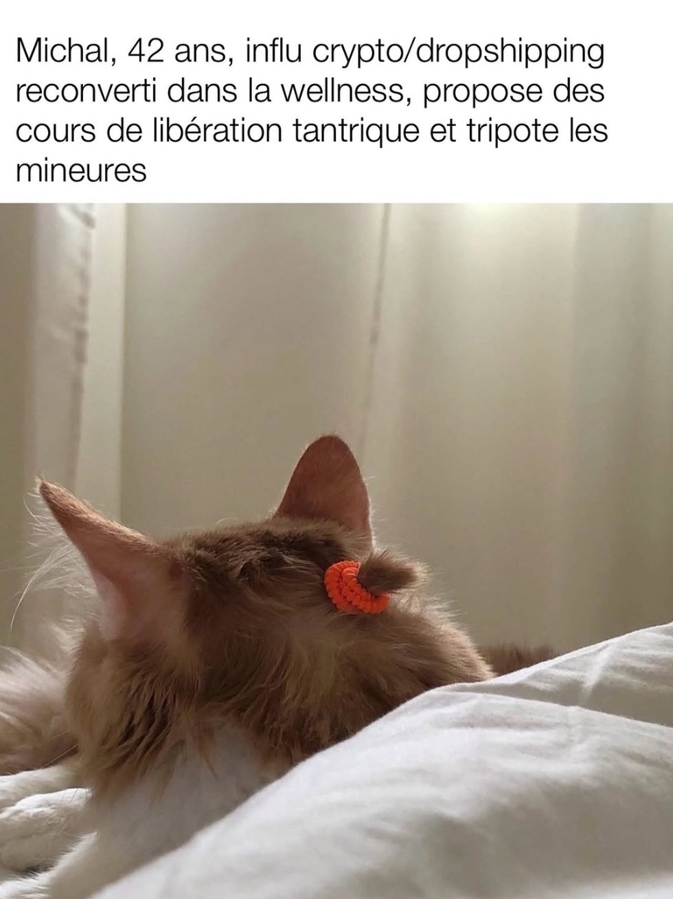 Chat m'étonne pas