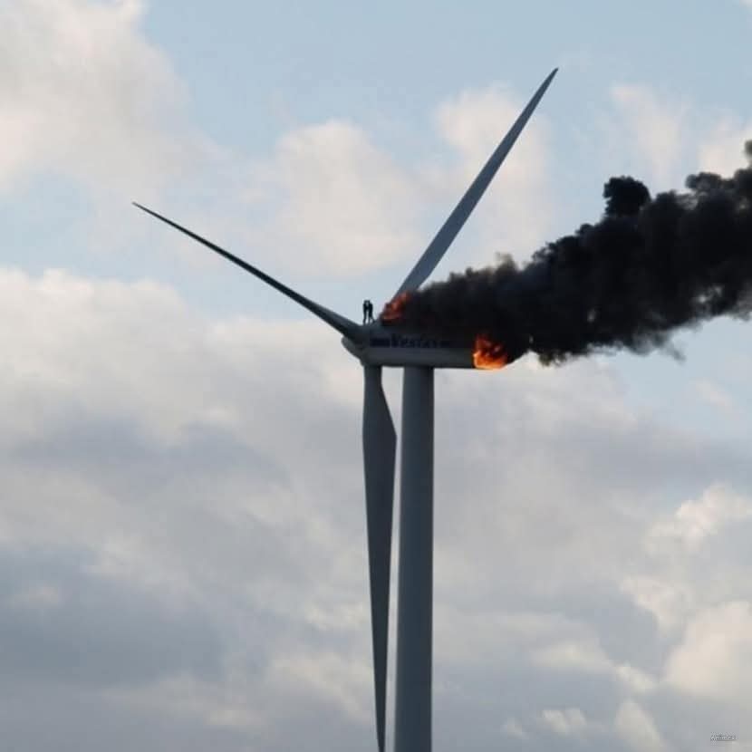 Le dernier câlin avant la mort.