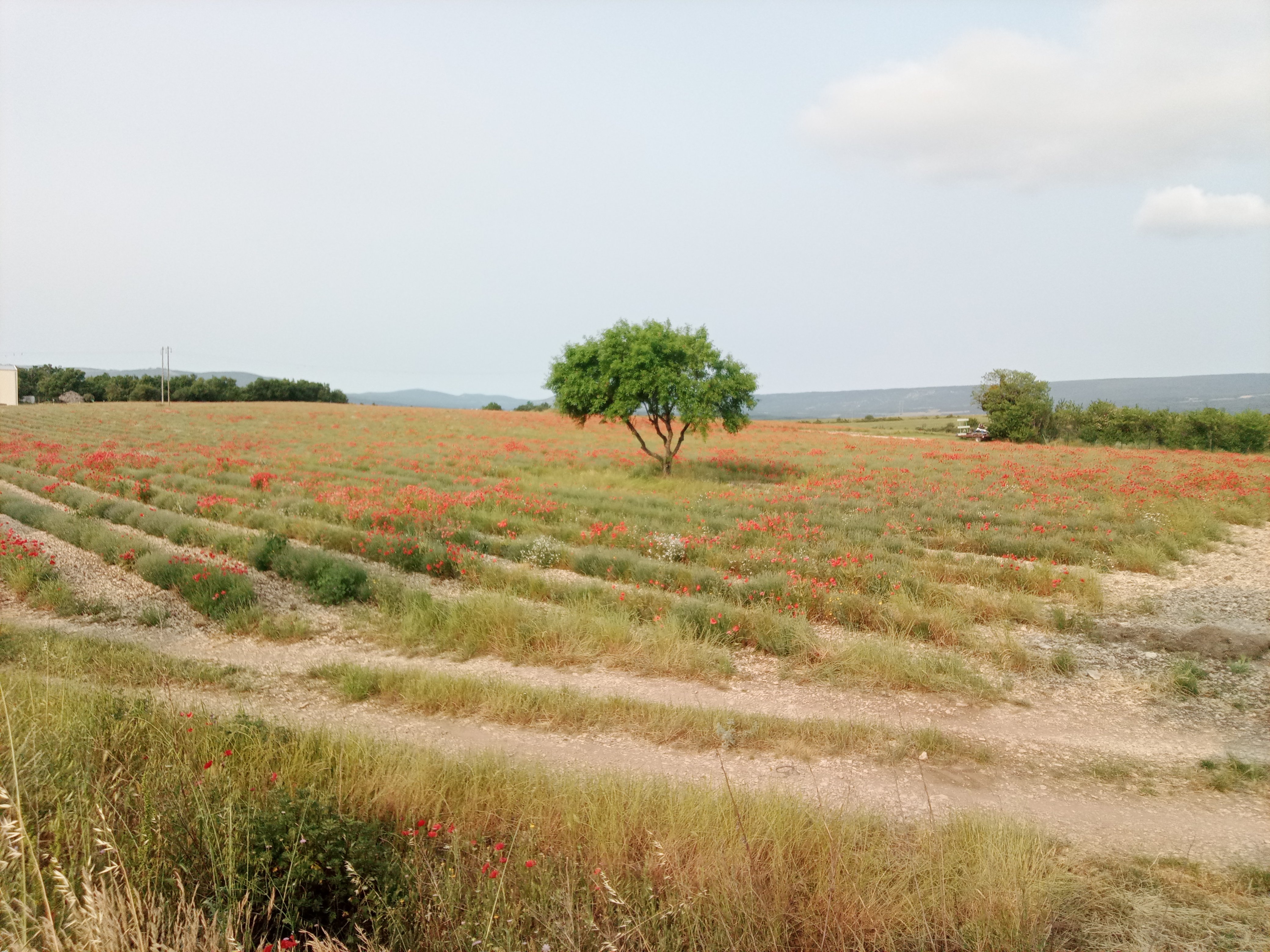 À quelques virages du Piémont