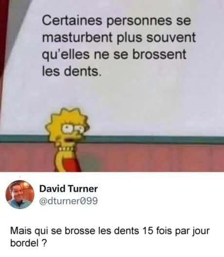 Sûrement un choual
