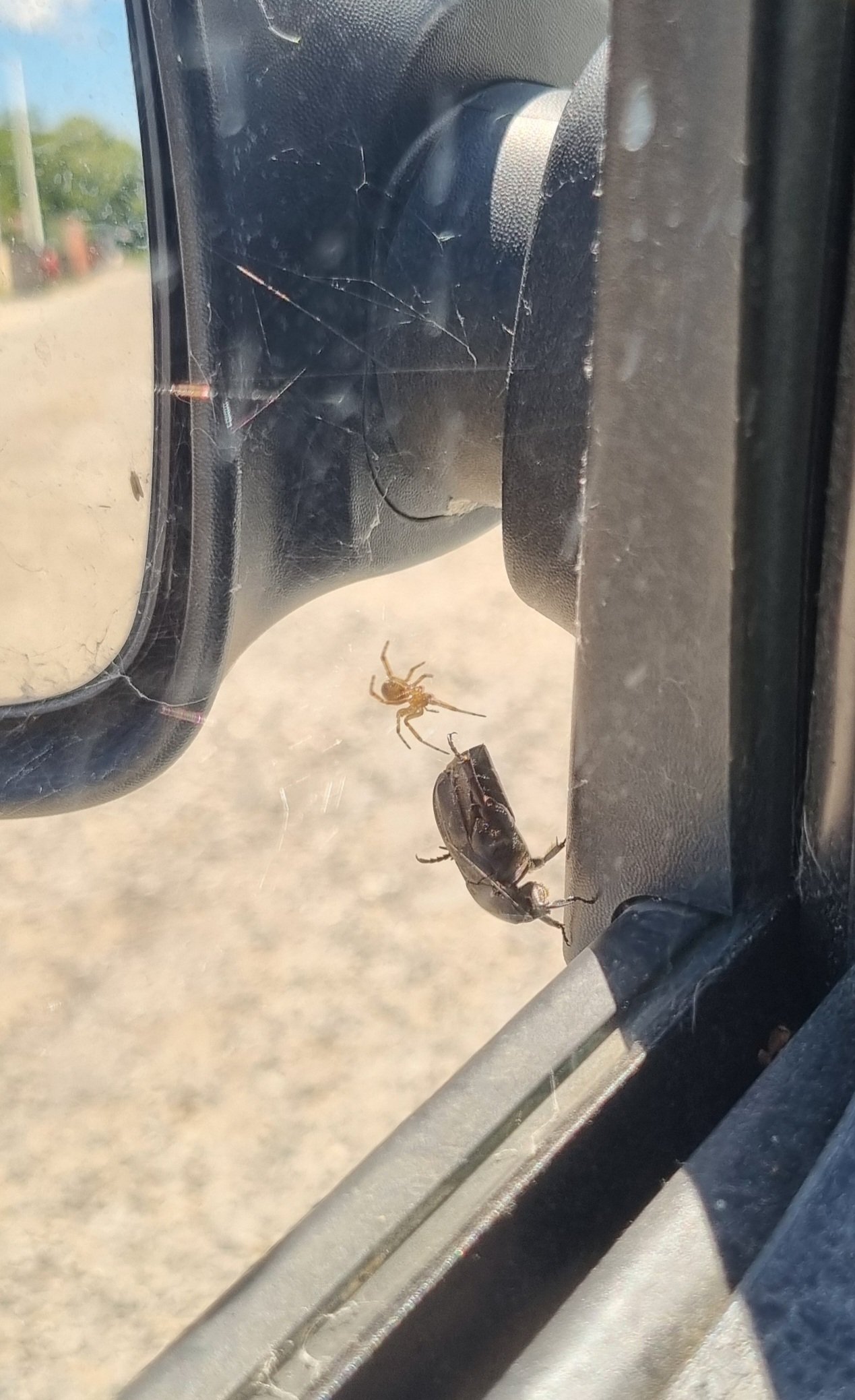 Avoir les yeux plus gros que le ventre