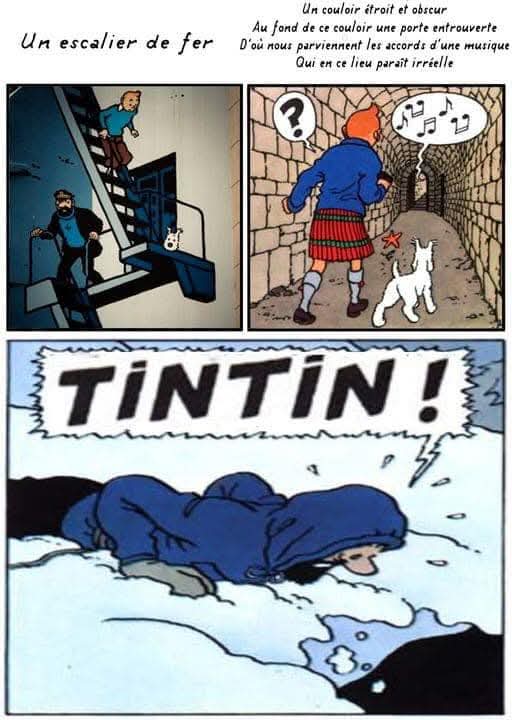 Idiote il est trop tard!