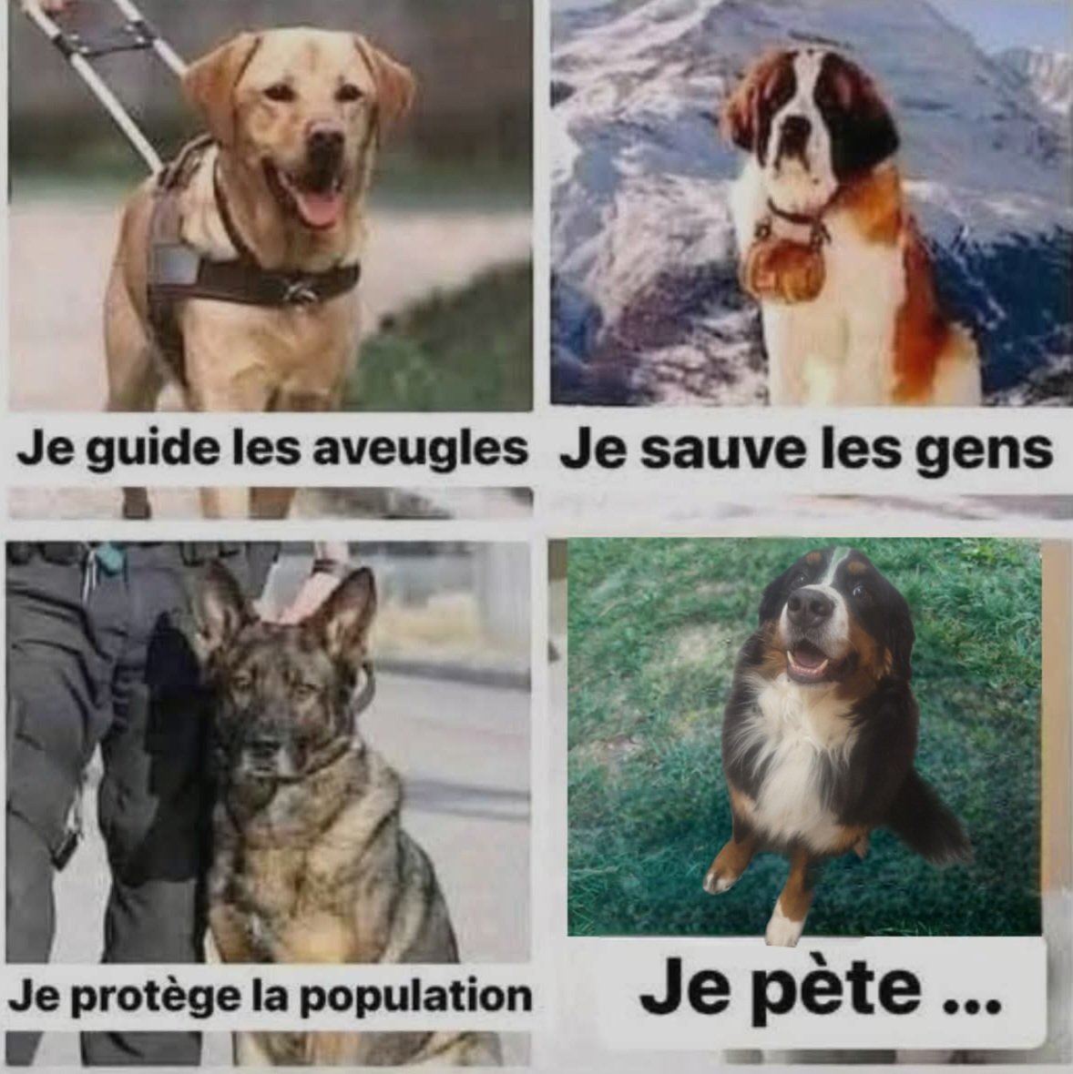 Je vous laisse deviner lequel est mon petit fils.