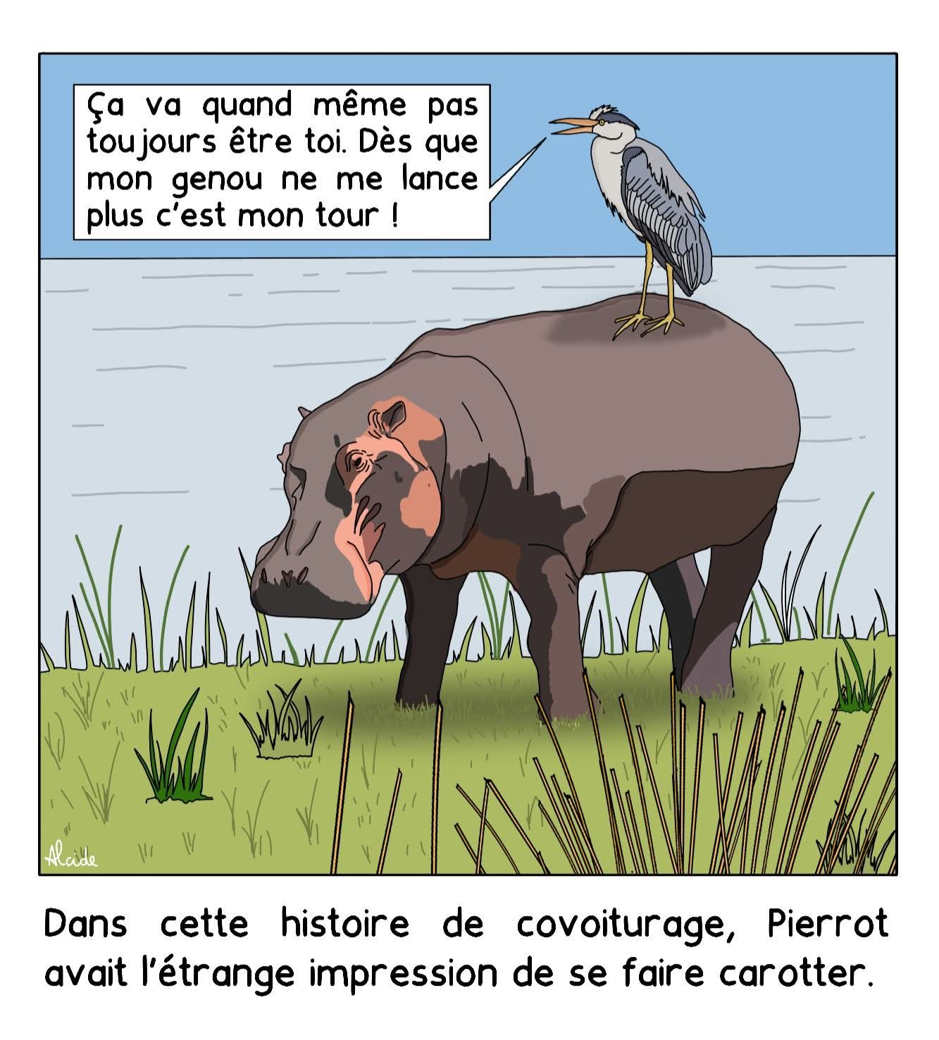 Carottage - Alcide Dessine