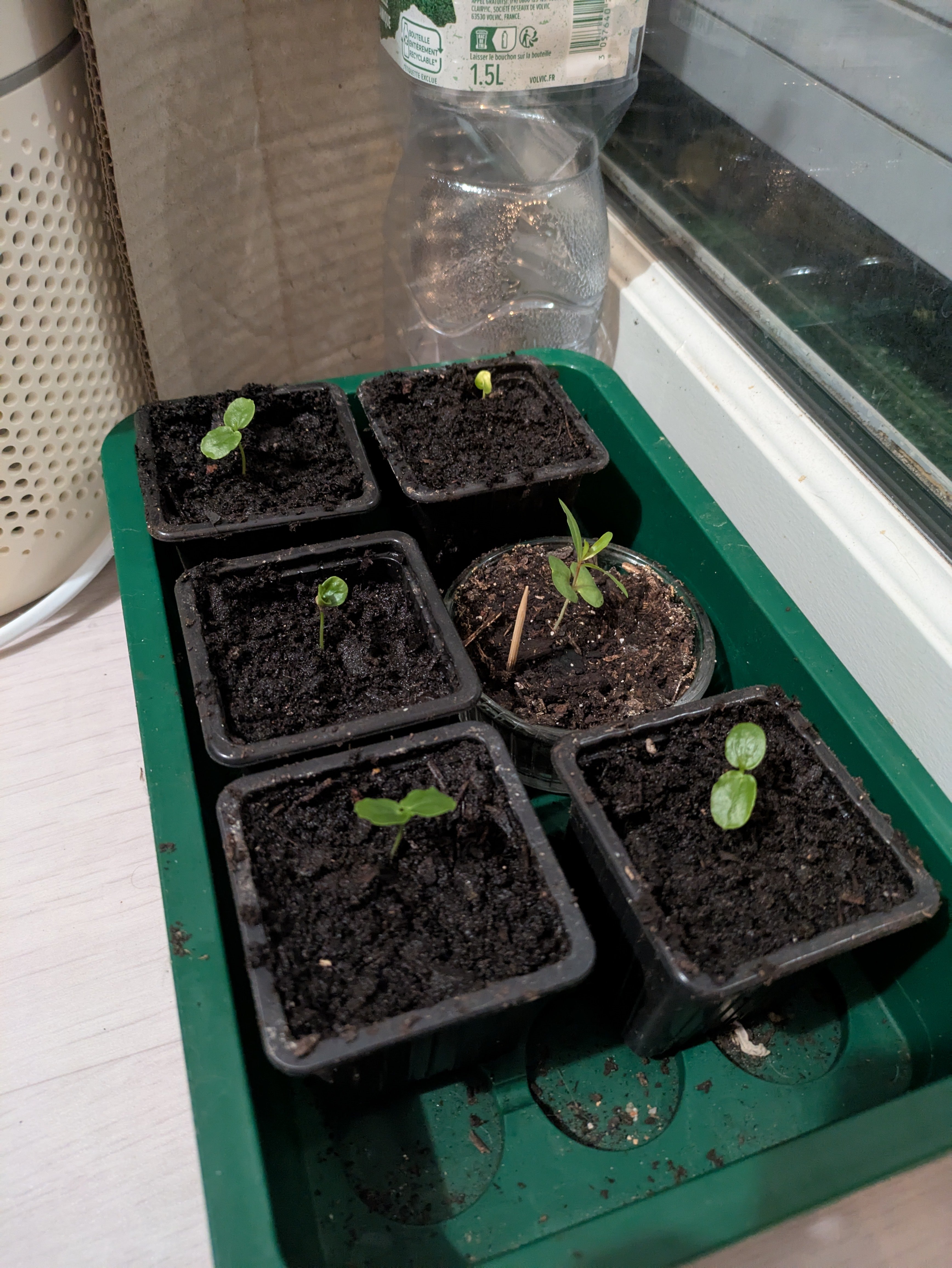 Je suis content. [spoiler]