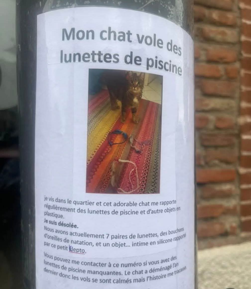 Chat pardeur