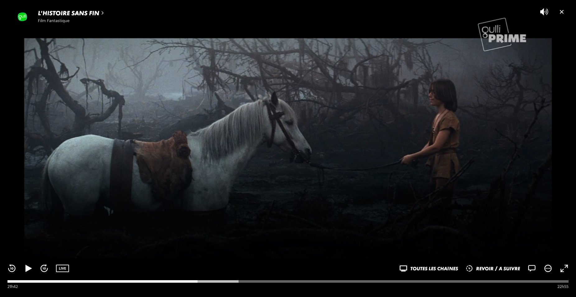 En ce moment sur Gulli