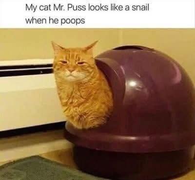 Au moin il est dans le bon sens, pas comme le mien