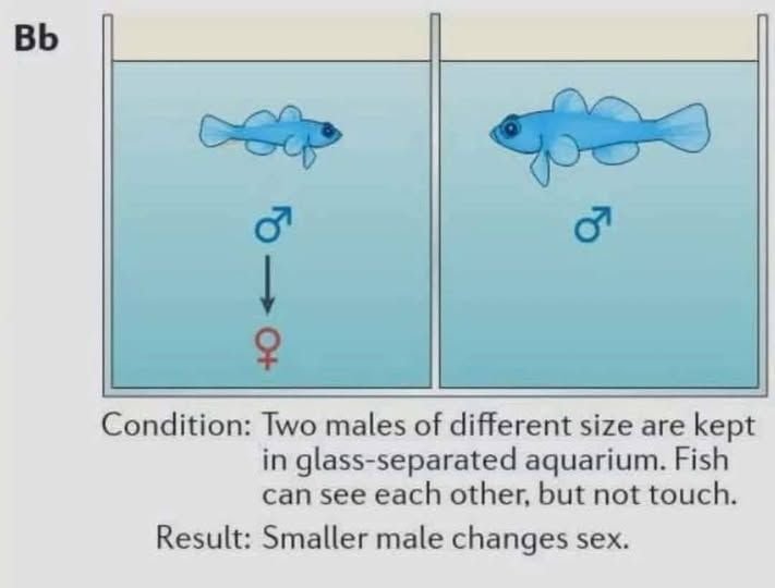 Ca pourrais etre nous..