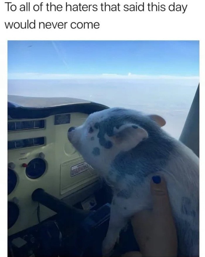 Do not hate the player, hate the game