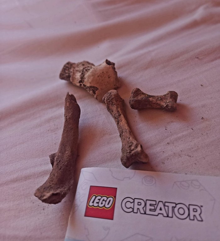 Dernière cueillette dans un cimetière de la France profonde.