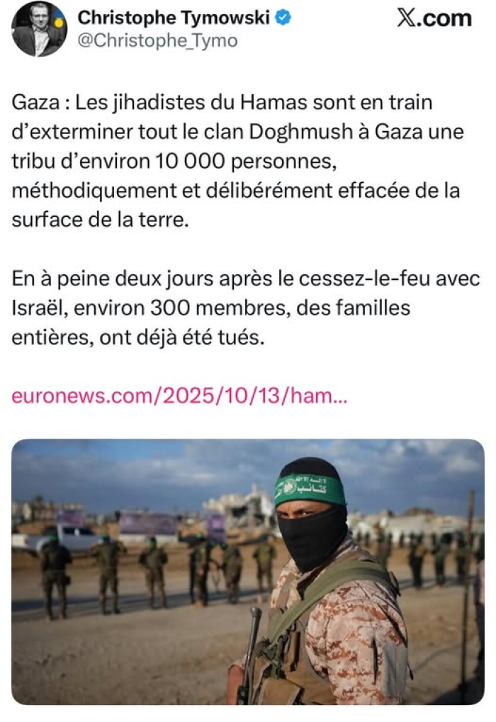 Que disent LFI et nos LGBT+QQ et toute la clique sur ce qui se passe à GAZA ???