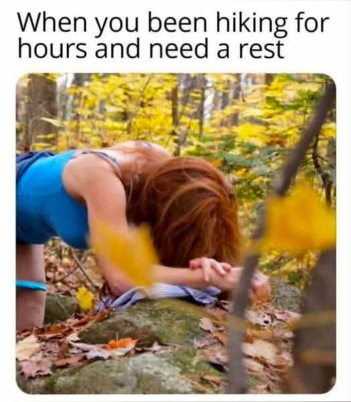 Les fans comprendront