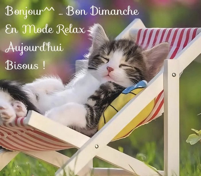 Tr:tr:tr:tr:tr: Martine_ladodue@comptabilite.fr