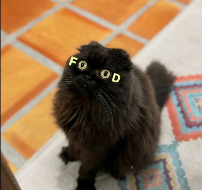 N'oubliez pas, vous n'êtes qu'un domestique pour lui