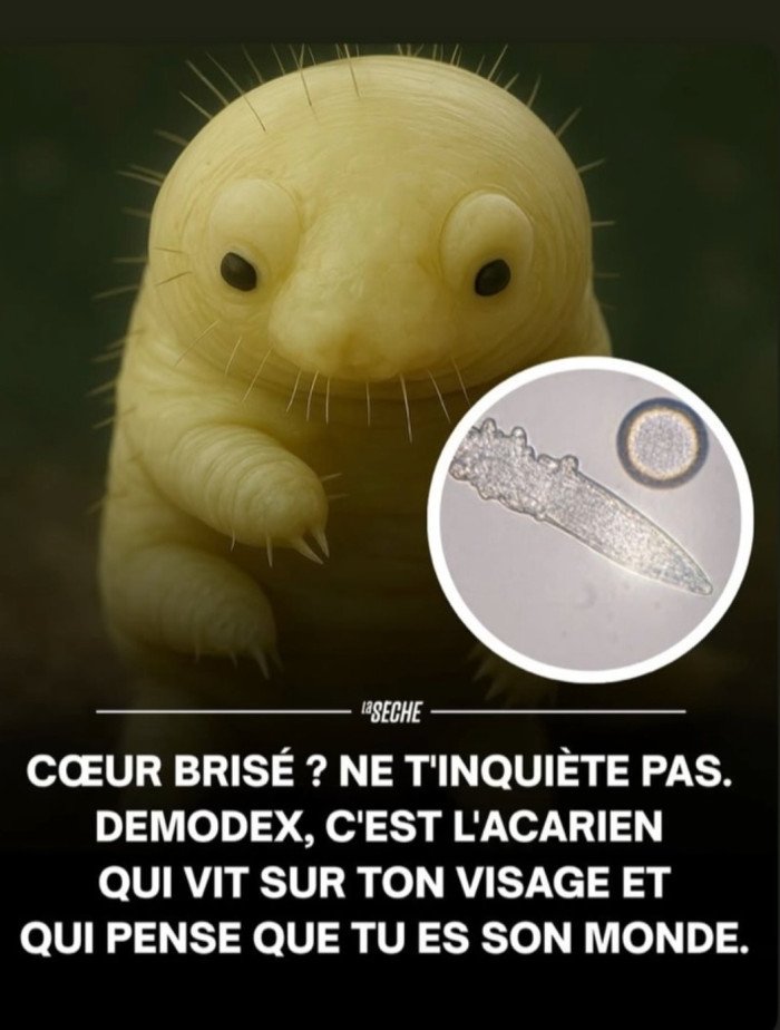 Je trouve ça si mignon &lt;3 Le Demodex, c'est un peu le coloc' que personne n'a invité.