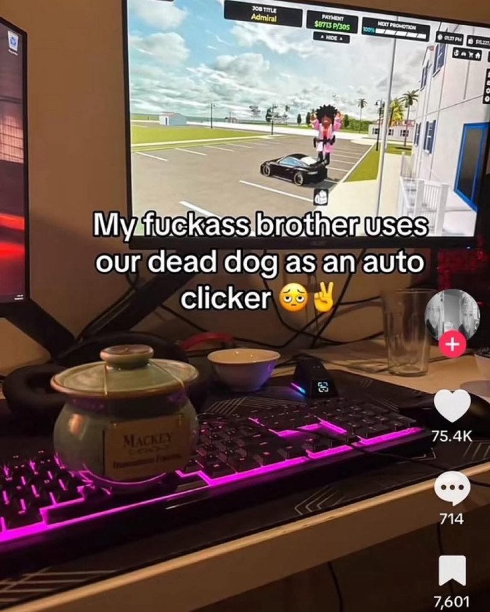 Goodboy even after life